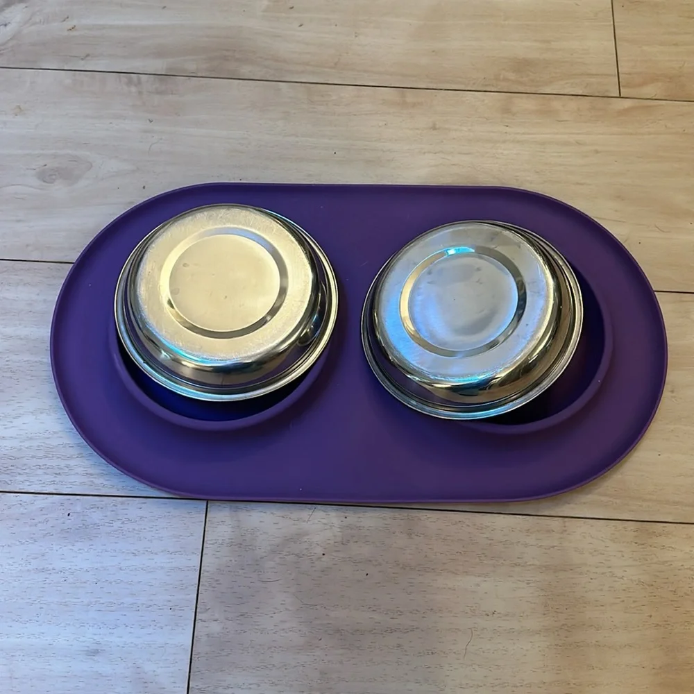Messy Cat Bowls tray Modern Double Feeder purple silicon stainless steel bowls